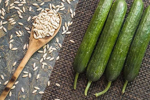 Cucumber seeds: A nutritious addition to health snacks