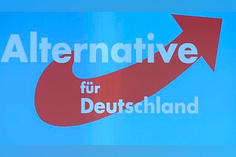 German far right party ahead in east before regional votes