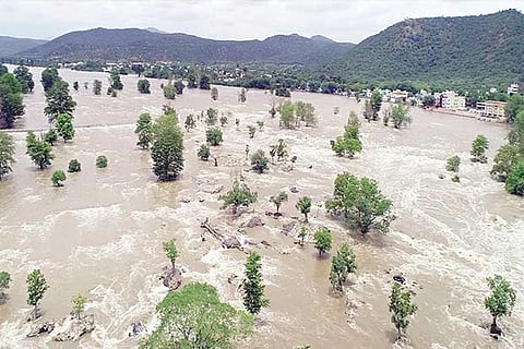 Cauvery gushing towards Mettur dam