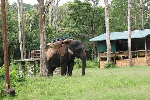 Pollachi: A town with picturesque locales