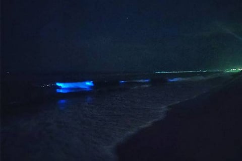 A photo shared on Twitter shows waves with a bluish glow crashing on Tiruvanmiyur beach