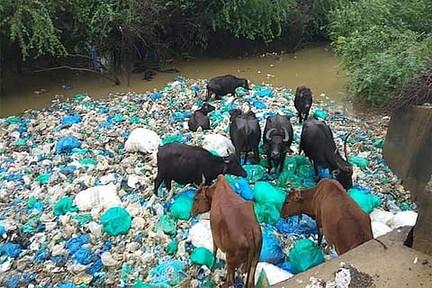 Medical waste dumped into waterbody raises health concerns