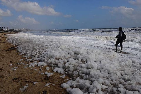 Frothing at Foreshore Estate on November 29
