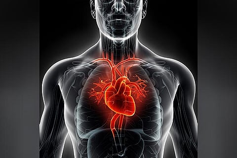 Kids born of diabetic mothers at heart risk: Study