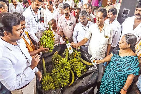 Officials demonstrate FSSAI approved methods to ripen bananas