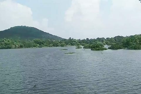 Zoo lake brims after 3 years, thanks to restoration