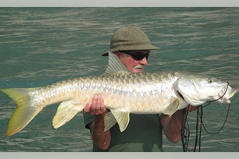 Courtesy- www.mahseerfishingindia.com