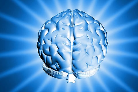 How gene linked to autism, Tourette's impacts brain