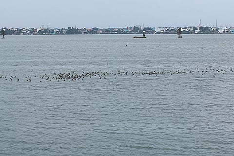 Increased storage level in four major lakes to help water supply till Oct