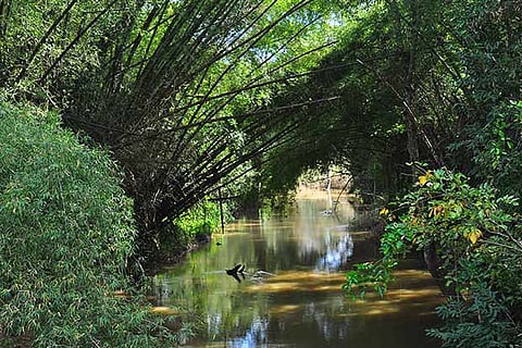 Plan Your Weekend: Sulthan Bathery, a hill station with historical sites, spice plantations