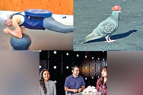 Trending in TN: Septuagenarian fitness freak, Cowboy pigeon, ties between Tamil and Korean