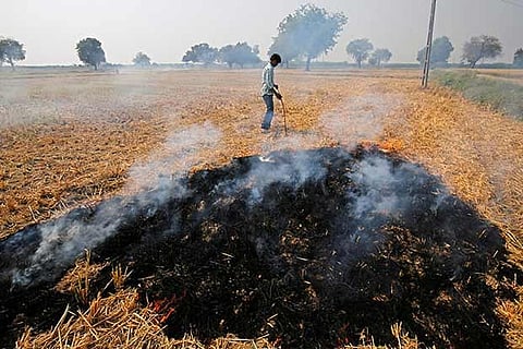 Over Rs 1,600 cr central funds to combat pollution, stubble burning: RTI