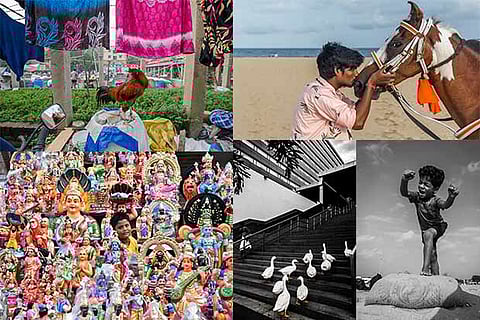 Photographs taken from various parts of Chennai are displayed at the exhibition