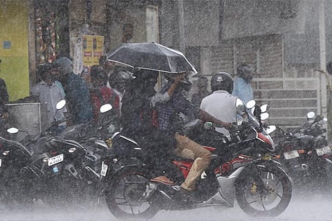 Downpour pushes up storage level in most dams