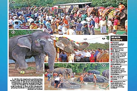 26 jumbos begin retreat at rejuvenation camp