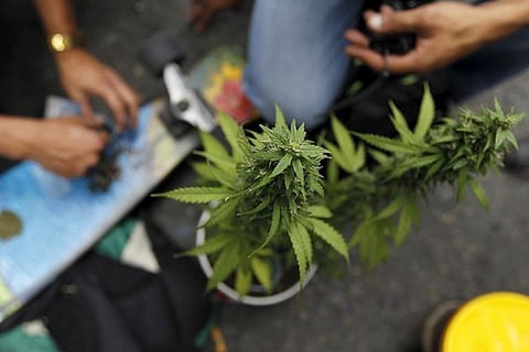 Engg student arrested for peddling ganja