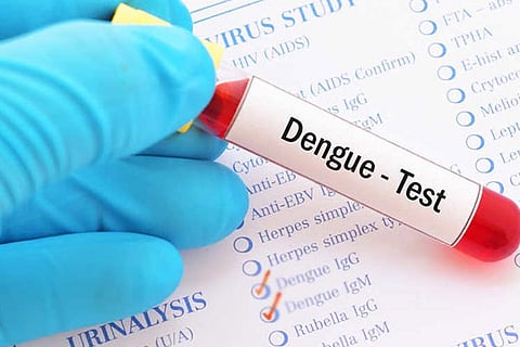 Dengue cases cross 6,500 in TN, but not ‘officially’