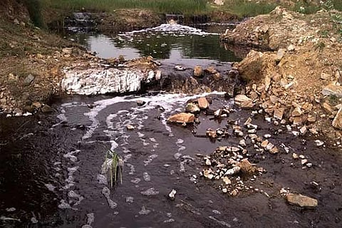 Stream flowing into the lake runs close to the landfill and carries toxins from the garbage