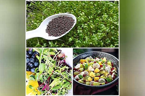 Left: Mixed greens; mustard plant; fruit chaat (below)