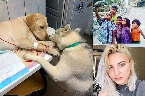 Trending in TN: Selfie of the year, Anushka Sharma doppelganger and a nursing dog
