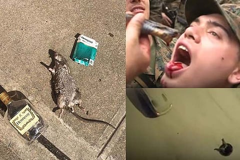 Trending in TN: Jungle survivor war games, a 'passed out' rat and a child seated on a tyre dragged by a car