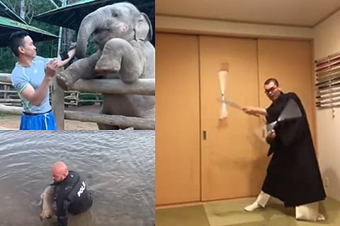 Trending in TN: A baby elephant urging his caretaker to play, Japanese monks show how ‘freeing’ a kimono can be, Turkish police officer risks life to save puppy