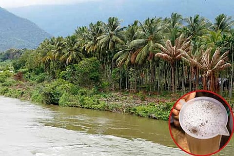 Lush green coconut farms in Coimbatore (above); Neera drink (right)