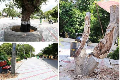 Rebuilt Tiruvannamalai girivalam draws more crowds