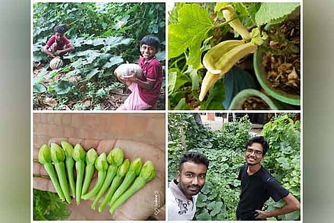 City youngster on a mission to preserve native seeds