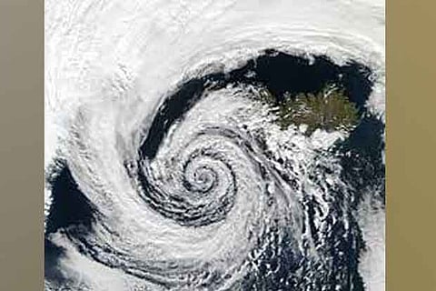 Cyclone, connectivity issues hamper 20th livestock census