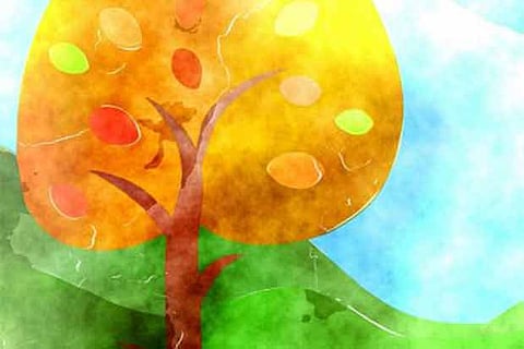 Representative Image