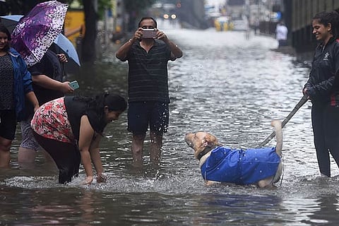 Mumbai limps back to normalcy as rains subside