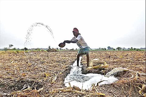 Bitter-sweet: Ryots hail water projects, rue FM’s miss on ignoring loan waiver