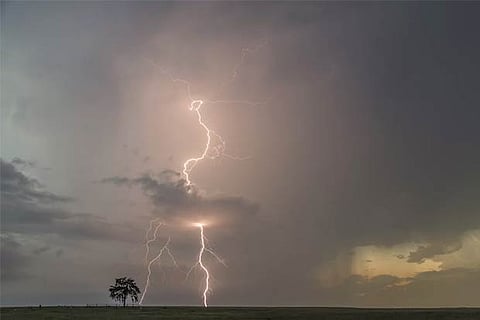 Odisha registers 31 pc decline in number of lightning deaths