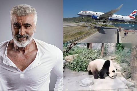 Trending in TN: Ageing filter connects to forebears, Panda hit by stones in China and precarious landing throws tourists off guard