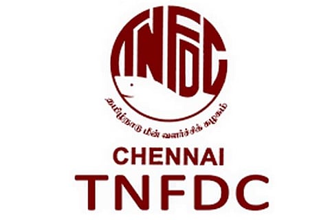 Fishermen oppose TNFDC purchasing fish from exporters