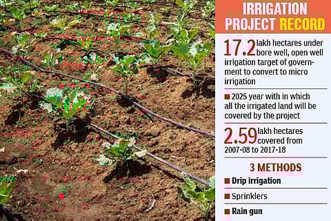1.41L ha covered by micro irrigation in 2018