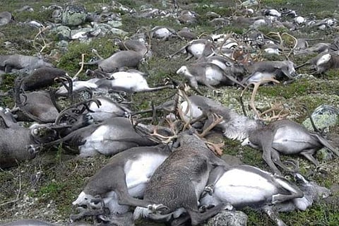 Photo courtesy: Reuters