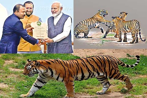 PM Modi hands over the award to the field director of Sathyamangalam Tiger Reserve V Naganathan