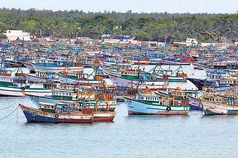 Low procurement prices,fishermen demand govt to set up DPCs