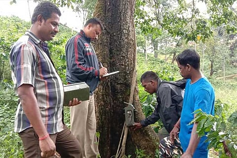 Forest department officials fix a camera to monitor the animal?s movement at Kurangumudi Estate
