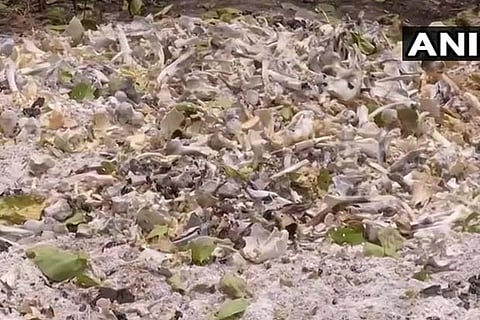 Human skeletons found behind Muzaffarpur hospital where 108 children died of encephalitis, probe ordered