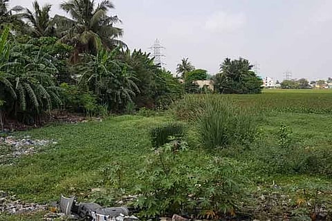 Hyacinth and other plants fill up the Veeraraghavan lake