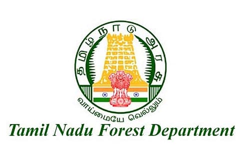 Elusive leopard makes fresh attacks near Ambur