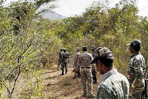 Members of the anti-Naxal wing personnel carrying out a combing operation in the forests in Coimbatore