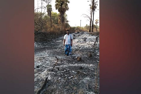 A farmer yet to be compensated stands in the midst of the charred remains after the fire in Palleri fields