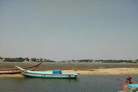 Pulicat lake is home to 25 types of polychaete worms