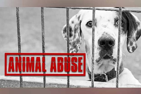 Animal activist files bestiality complaint with video evidence