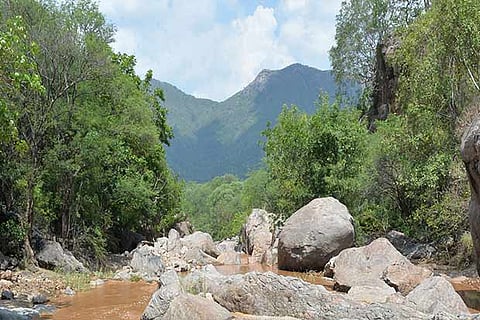A part of the reserve forest near Pernambut