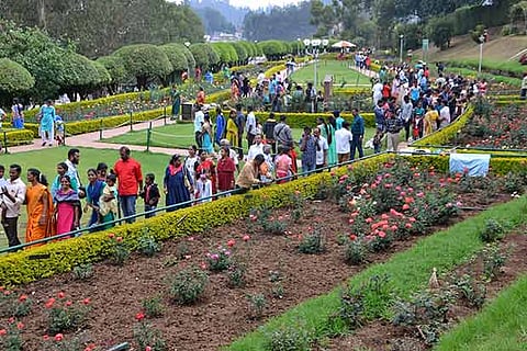 Tourists enjoy the splendid bloom of flowers at Government Rose Garden in Ooty